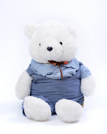 Sitting white Teddy bear on white backgroundの写真素材