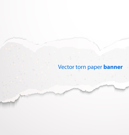 White torn paper rectangle banner with drop shadows. Vector illustrationのイラスト素材