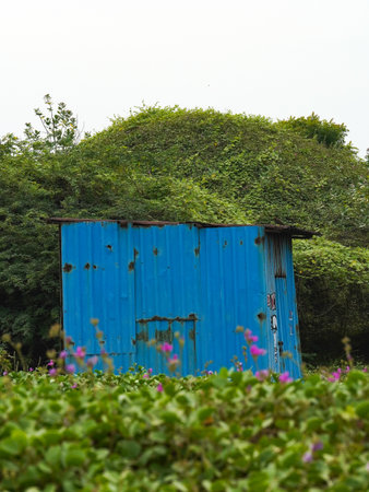 a blue tin cabin in the greeneryの写真素材