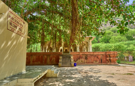 A beautiful view of "Gatore ki chhatriyan"の写真素材