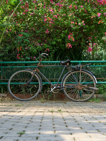 An old damaged bicycle in a parkの写真素材