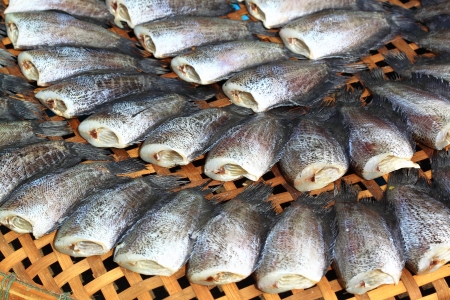 Stall of dry fish for drying in sunlight の写真素材