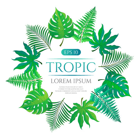 Tropical leaves round frame with place for text isolated on white background. Vector illustration in hand drawn cartoon style. Can be used for design your website or print publications and other.のイラスト素材