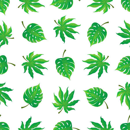 Vector seamless pattern of tropical palm leaves isolated on white background. Vector illustration in hand drawn cartoon style. Can be used for printing on textile or gift wrap and wallpapers.のイラスト素材