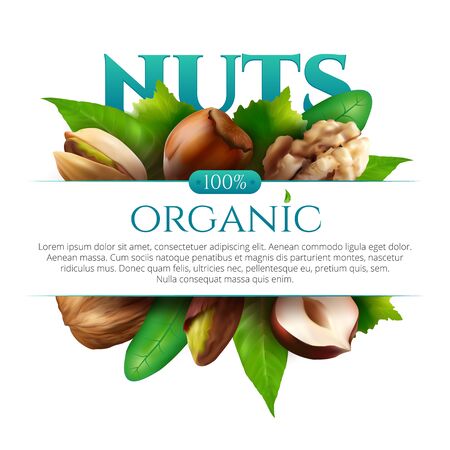 Vector frame of realistic nuts with leaves isolated on white backgroundのイラスト素材