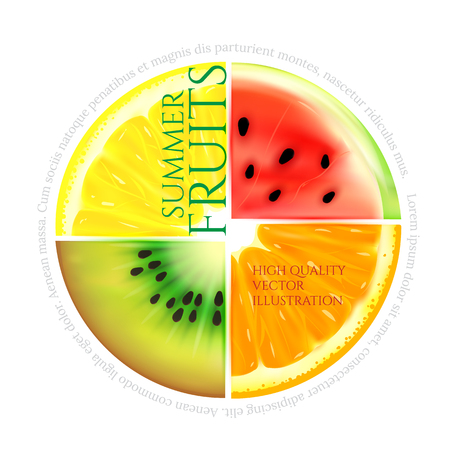 Summer fruit slices in a circle isolated on white backgroundのイラスト素材