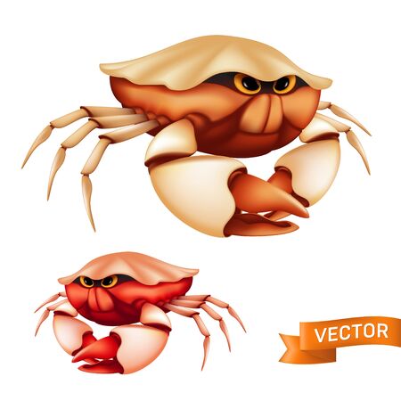 Realistic red tropical crab with big claws and funny cartoon eyes. Vector illustration of cute sea shellfish isolated on white backgroundのイラスト素材