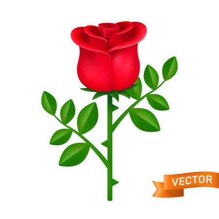 Red rose with green leaves vector icon. Blooming flower close-up cartoon illustration isolated on a white backgroundのイラスト素材