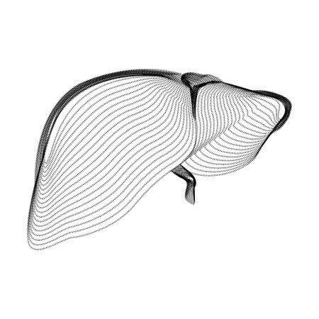 Liver silhouette consisting of black dots and particles. 3D vector wireframe of an internal organ with a grain texture. Abstract geometric icon with dotted structure isolated on a white backgroundのイラスト素材