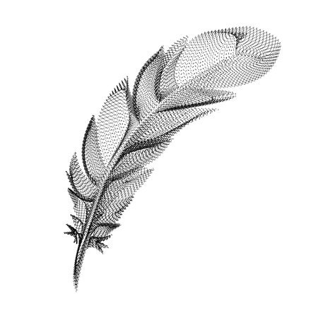 Feather silhouette consisting of black dots and particles. 3D vector wireframe of a bird plumage with a grain texture. Abstract geometric icon with dotted structure isolated on a white backgroundのイラスト素材