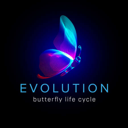 Evolution butterfly life cycle. Flying moth neon silhouette in 3D line art style. Vector illustration of glowing papillon wireframe side view isolated on a dark backgroundのイラスト素材