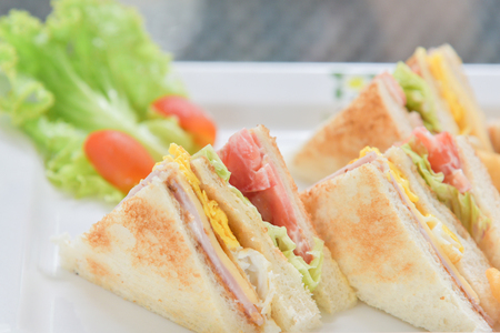 Sanwiches breakfast with salad and tomato on the white plateの写真素材