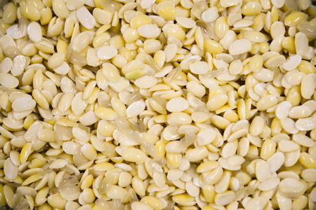 Soy bean texture .Healthy food and diet conceptの写真素材