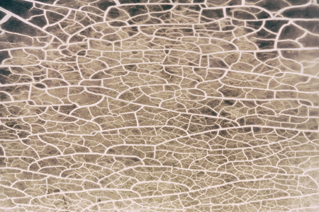 Abstract cracked pattern on dry plastic surface texture.Cracking plastic surface materialの写真素材
