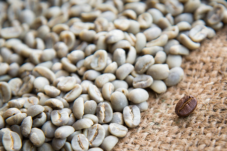 coffee beans background group of green and roasted arabica coffee beans concept of coffee state and agricultureの写真素材