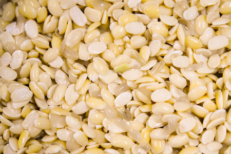 Soybean background.yellow bean washed prepare for making tofu soy milk.yellow soaked peas texture.の写真素材