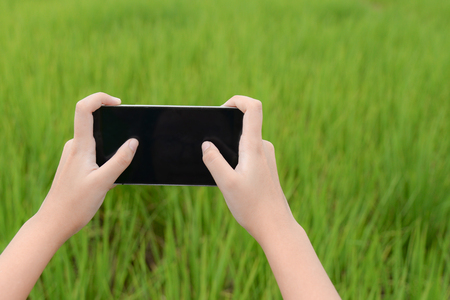 Woman hand holding smartphone against spring green backgroundの写真素材