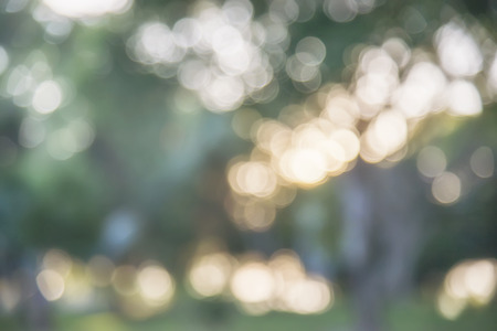 green bokeh background from sunlight through tree leaf in public park in evening,abstract natural green bokeh in summerの写真素材