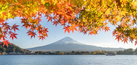 Mount Fuji scenery and the leaves of the maple trees that turn red before winter is a famous tourist attractionの写真素材