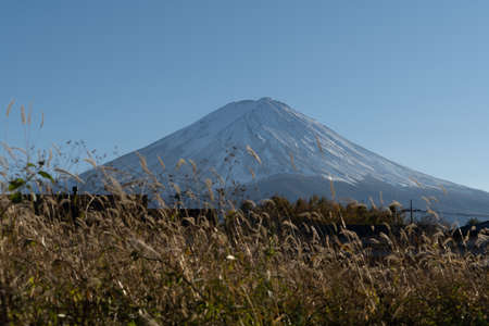 Mount Fuji scenery and the leaves of the maple trees that turn red before winter is a famous tourist attractionの写真素材