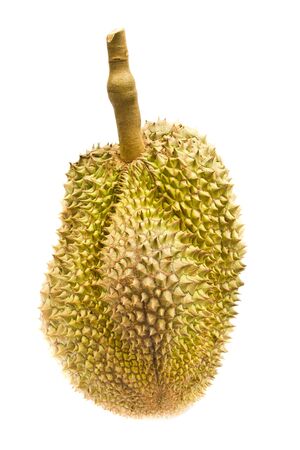 Durian fruitの写真素材