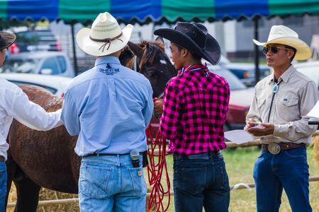 PRACHUAPKHIRIKHAN, THAILAND - DECEMBER 16 : Unidentified horse at competition of beauty "Livestock Show 2012" on December 16, 2012 in Pranburi, Prachuapkhirikhan, Thailandのeditorial素材