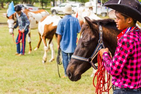 PRACHUAPKHIRIKHAN, THAILAND - DECEMBER 16 : Unidentified horse at competition of beauty "Livestock Show 2012" on December 16, 2012 in Pranburi, Prachuapkhirikhan, Thailandのeditorial素材