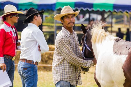 PRACHUAPKHIRIKHAN, THAILAND - DECEMBER 16 : Unidentified horse at competition of beauty "Livestock Show 2012" on December 16, 2012 in Pranburi, Prachuapkhirikhan, Thailandのeditorial素材