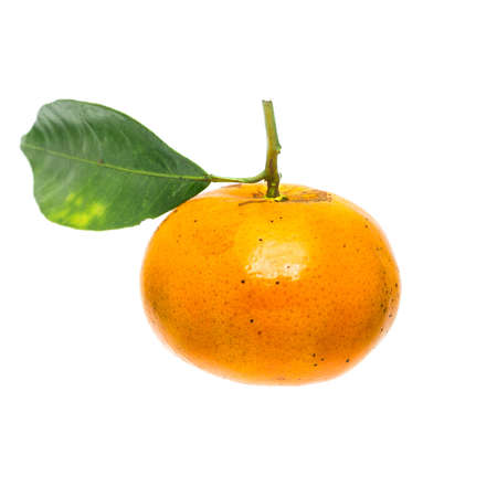 tangerine orange on white background