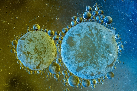 Oil Droplets on a water surfaceの写真素材