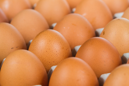 Close up of egg in carton box