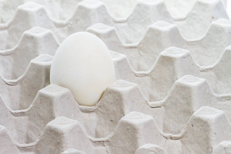 Close up of white egg in carton boxの写真素材