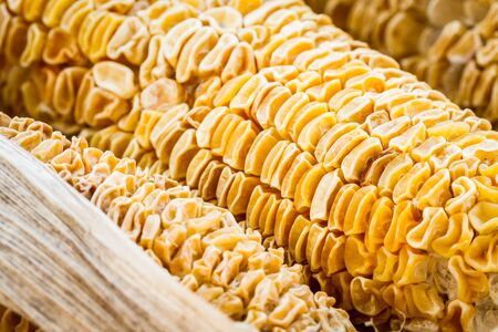 Close up of dry corn cobs