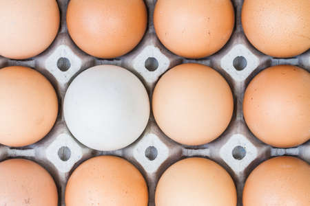 Close up of white egg in carton boxの写真素材