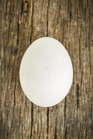 Close up of white egg on wooden backgroundの写真素材