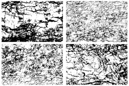 Grunge textures set of bark tree styleのイラスト素材