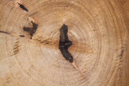 Crack wooden texture wall pattern backgroundの写真素材