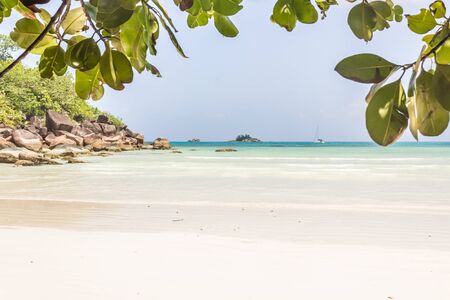 Beautiful beach with white sand and treeの写真素材