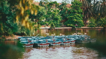Numerous empty boats in water of city park with many ducks on them, recreational water area with birds and multiple old enumerated abandoned wherries on cloudy day in Barcelona, Spainの写真素材