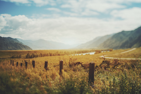 True tilt shift view of abandoned low wooden poles from fencing in foreground, the mouth of the Katun River, multiple mountains, hills, meadow with native grasses and bend of dirt road, Altai, Russiaの写真素材