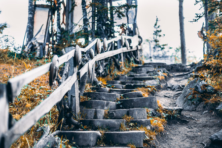 View from bottom of decorative staircase consisted of cylindrical slices of pine trees with wooden fence stretching next to steps, autumn dry grass around, Altai mountains, Russiaの写真素材