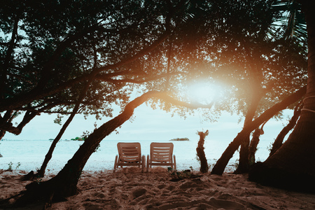 Rear view of two empty deckchairs standing on the sandy beach and surrounded by many trees, with ocean and coastline in front; recliners on the seashore with water and small islands in the backgroundの写真素材
