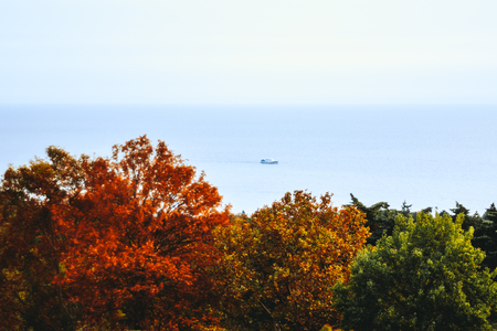 Colorful scenery with red, green and orange autumn trees in a defocused foreground and the sea with the speed-boat on it in the backgrouÑÐ² closer to the horizonの写真素材