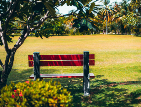 View from behind of a red wooden bench in the tropical resort standing in the shadow of the tree in...