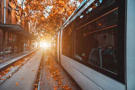 Wide-angle view of the white contemporary city tram next to the platform; city transport platform with a modern carriages of the streetcar during bright autumn day with empty tramway on the leftの写真素材