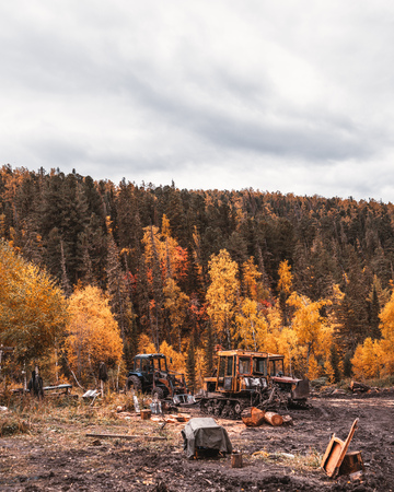 A logging camp with multiple bulldozers and other heavy machinery, with an autumn forest behind; several tractors during maintenance in a logging camp in a fall wood with a mud ground in a foregroundの写真素材