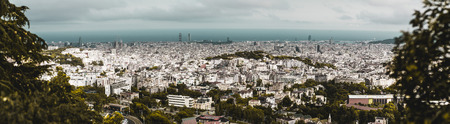 Panoramic view of Barcelona cityscape framed with greenery and trees: plenty of buildings, houses, parks, and skyscrapers, residential and touristic districts, seascape on the horizonの写真素材