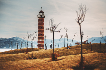 View through the bare saplings and yellowed hills of the Japanese garden of the Belem Lighthouse in...