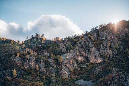 A hillside overgrown with plenty of autumn colored trees: birches, cedars, pines, firs etc., with the low sun touching the top of the mountain; a forest on the mountain slope with greeneryの写真素材