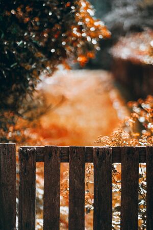 Vertical view with a selective focus on a wooden fence on a bright summer day, with a lawn and plants of a garden in a defocused background, strong bokeh, shallow depth of field, Sintra, Portugalの写真素材